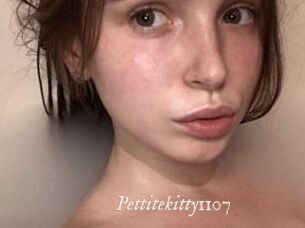 Pettitekitty1107