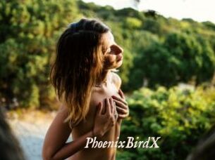 PhoenixBirdX