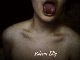 Polecat_Elly