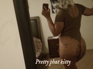 Pretty_phat_kitty