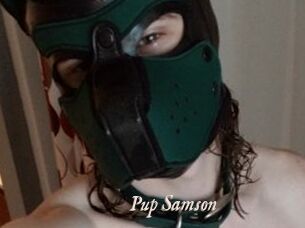 Pup_Samson