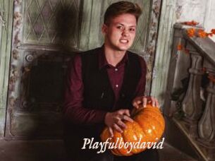 Playfulboydavid