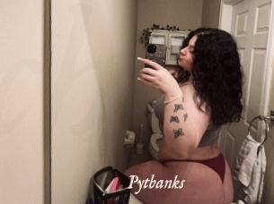 Pytbanks