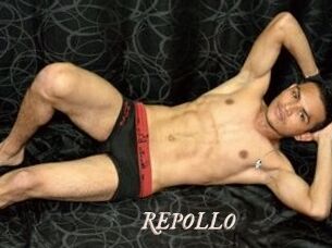 REPOLLO