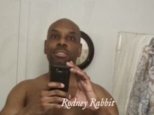 Rodney_Rabbit