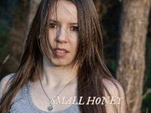 SMALL_HONEY