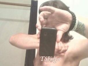 TSFidget