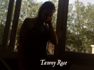 Tawny_Rose