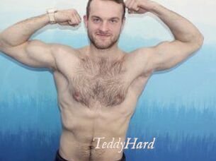 TeddyHard