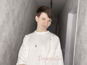 Troyemellet