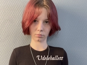 Udelehallett