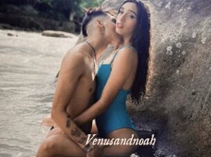 Venusandnoah