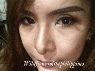 Wildflowerofthephilippines