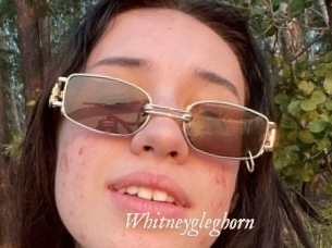 Whitneygleghorn