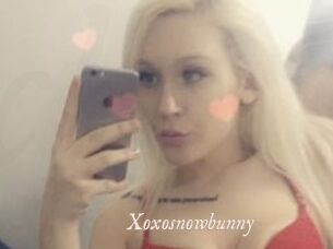 Xoxosnowbunny