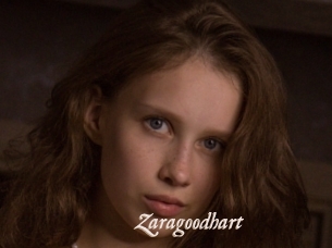 Zaragoodhart