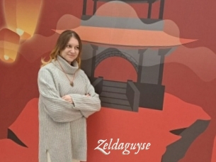 Zeldaguyse